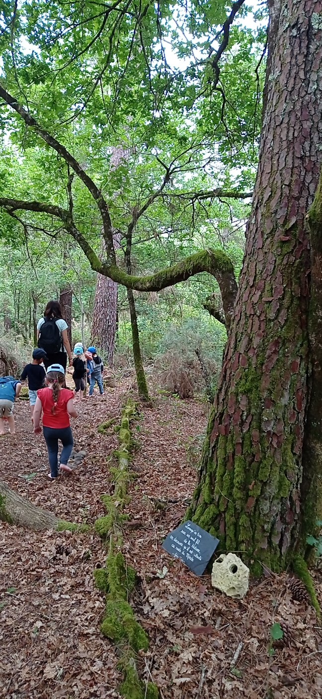 Découverte du sentier pieds nus en forêt